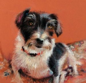 pastel painted dog called Broxi with orange background
